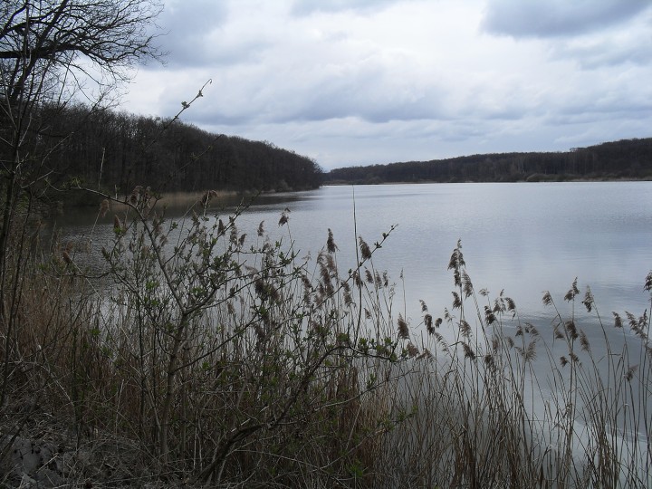 img00072.jpg
