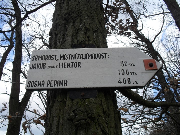 img00092.jpg