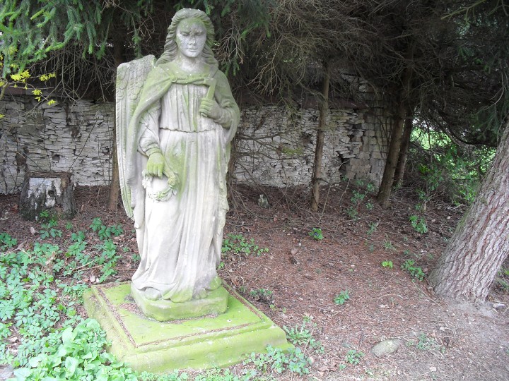 img00103.jpg