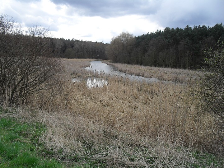 img00106.jpg